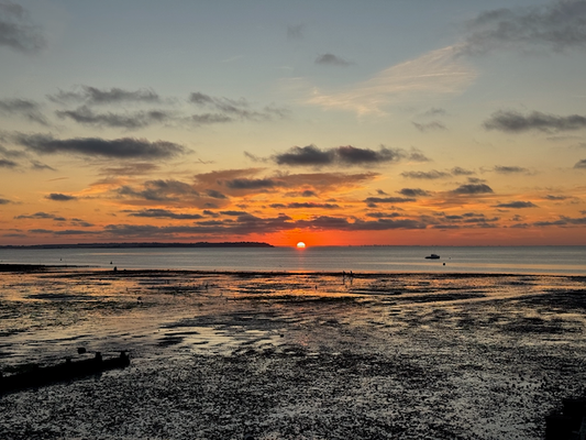 Letters from Whitstable