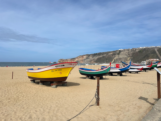 Surf Waves, Seafood, and Sizzling Stories: A Ghannouj Gazette Adventure