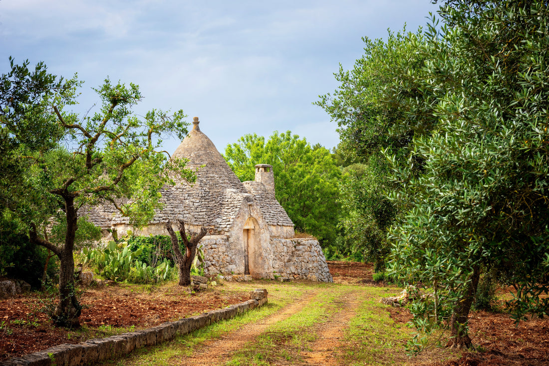 Letters from Puglia: A Journey Through Olive Groves, Seaside Towns, and an Unexpected Proposal