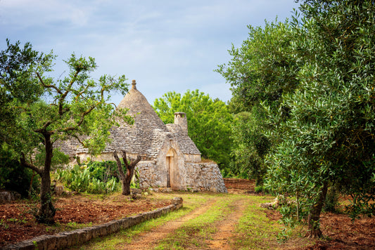 Letters from Puglia: A Journey Through Olive Groves, Seaside Towns, and an Unexpected Proposal